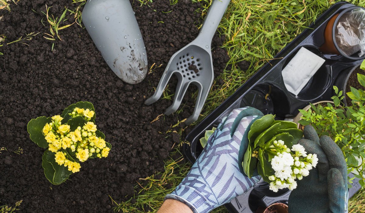 Perk up hanging baskets