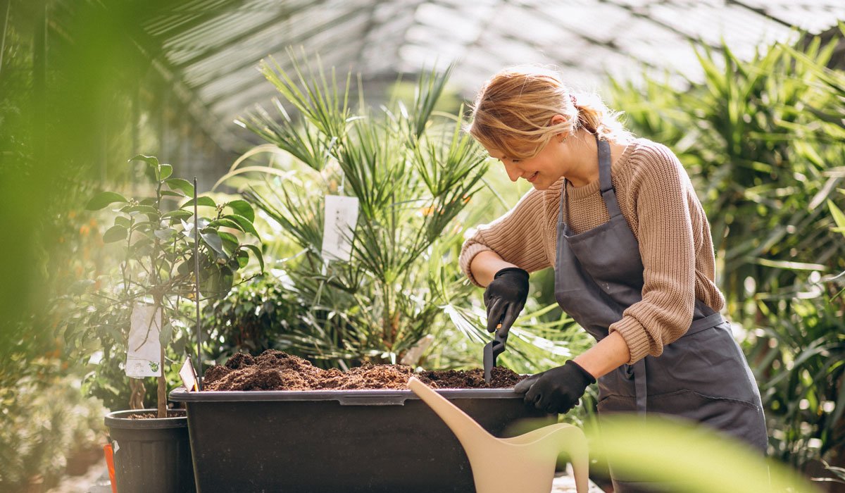 Soil requirements of kitchen garden